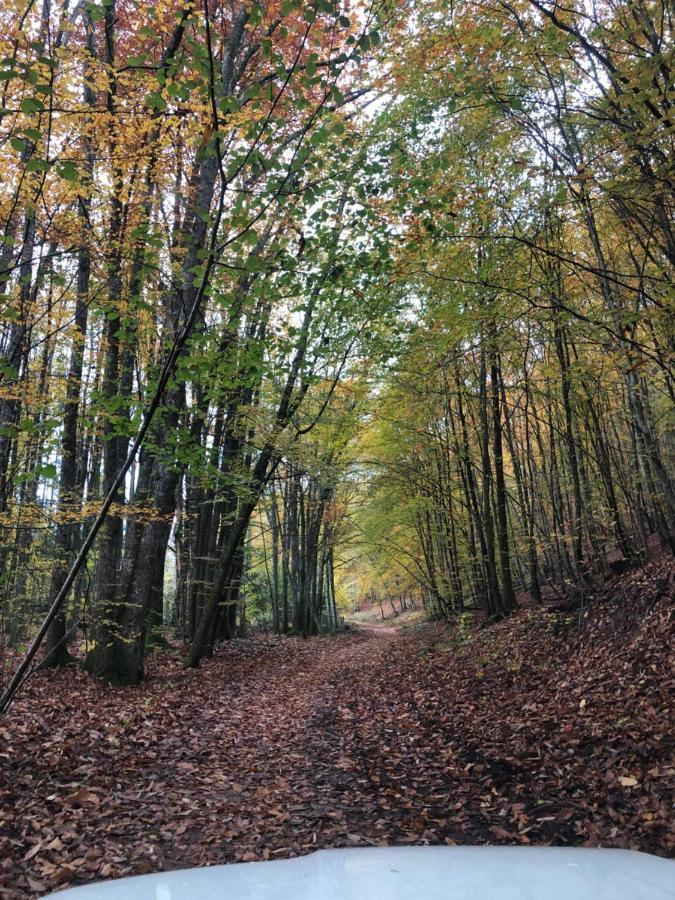 Sunrise Cabin Et Sauna Rothbach ภายนอก รูปภาพ
